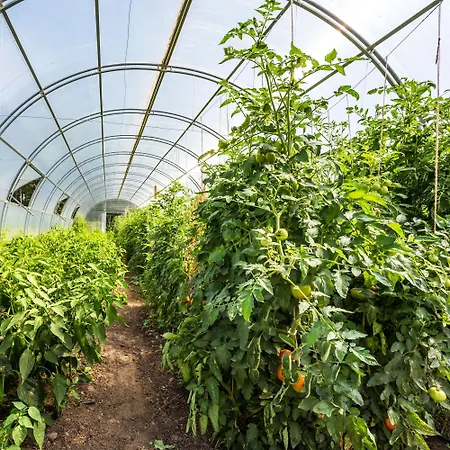 ゲストハウス Complex Europe