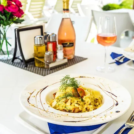 Complex Europe 돌나반야