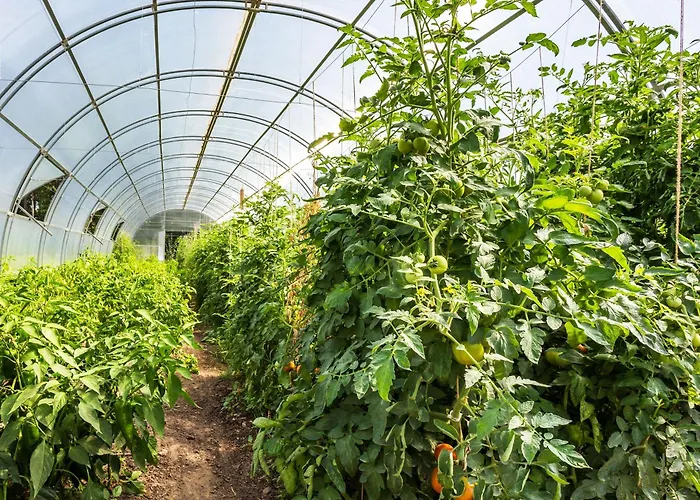 Konukevi Complex Europe