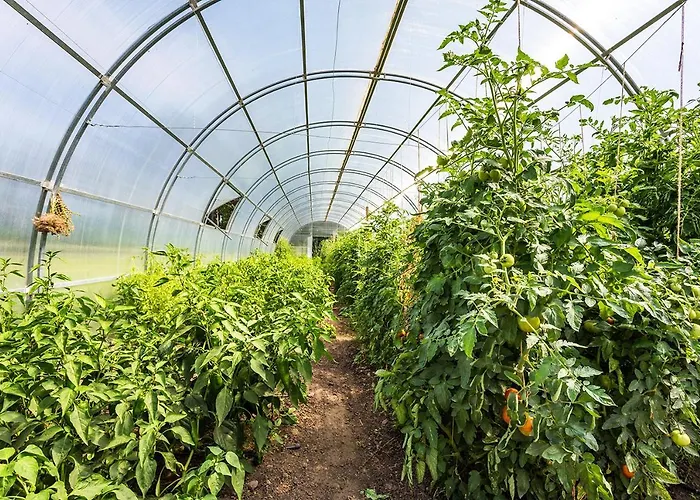 Konukevi Complex Europe Dolna Banya